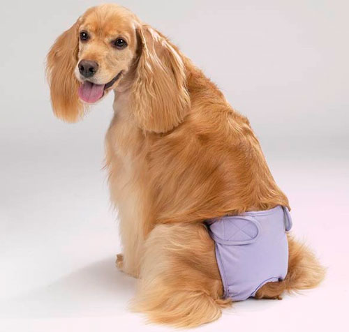 Внутренние болезни, модуль 3 - Анемии, болезни почек и МВП, репродуктивных органов (2016) запись лекций в СДО