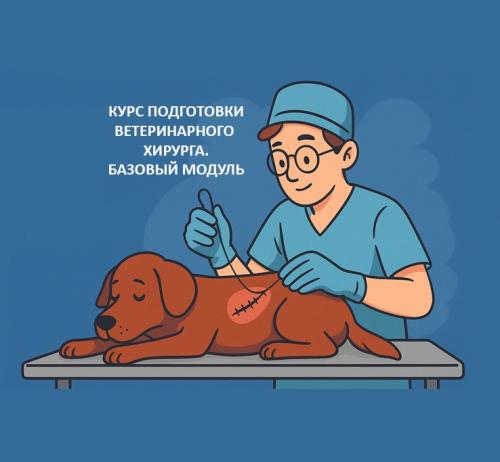 Хирургия собак и кошек: базовый уровень