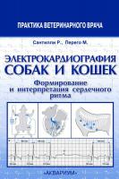 Электрокардиография собак и кошек. Формирование и интерпретация сердечного ритма