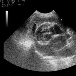 Визитерство в отделение визуальной диагностики