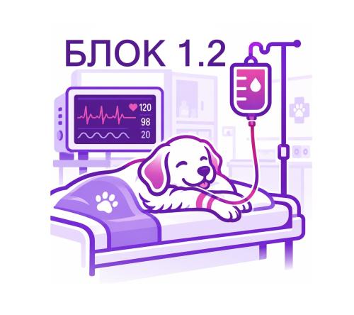 Интенсивная терапия собак и кошек: базовый уровень. БЛОК 1.2.