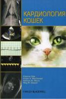 Кардиология кошек