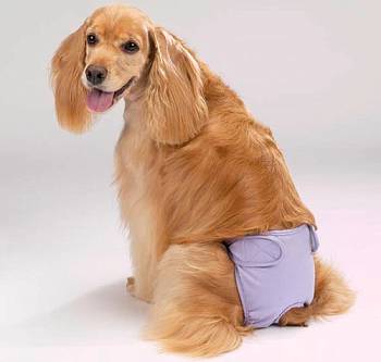 Внутренние болезни, модуль 3 - Анемии, болезни почек и МВП, репродуктивных органов (2016) запись лекций в СДО