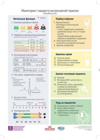 Мониторинг пациента интенсивной терапии