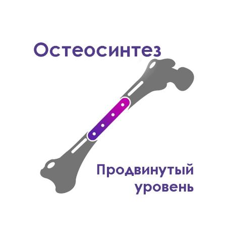 Остеосинтез собак и кошек: продвинутый уровень