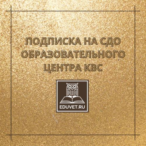 Годовая подписка на СДО для физлиц