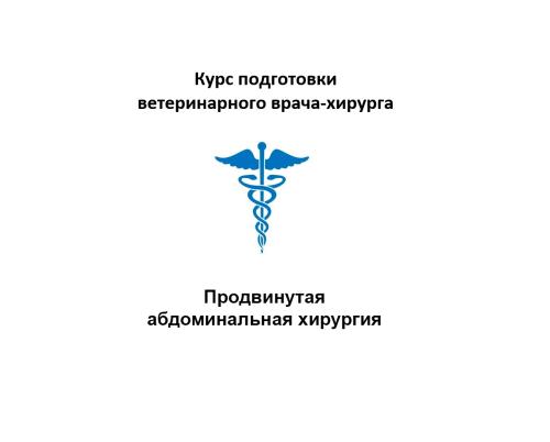 Хирургия мочевыделительной системы собак и кошек