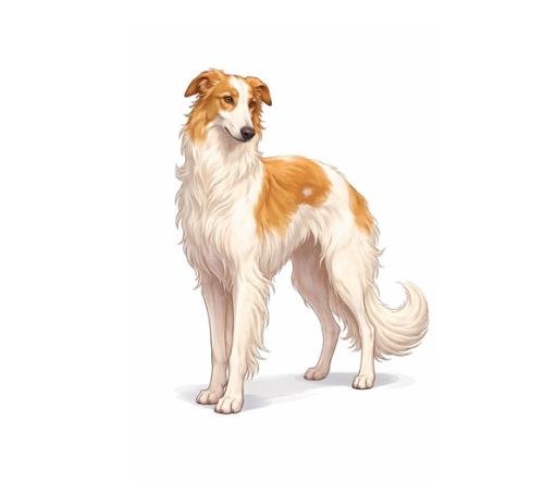 Общероссийская Конференция «День породы Русская псовая борзая» (запись лекций в СДО)