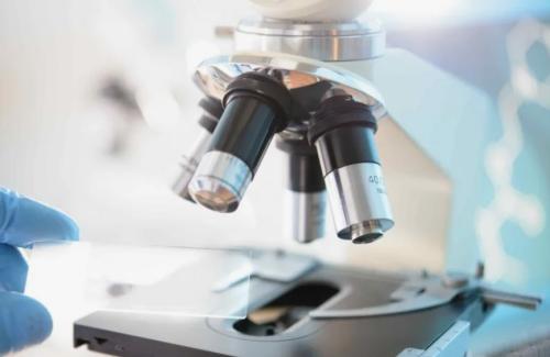 Простая цитология кожи: воспаление и микроорганизмы